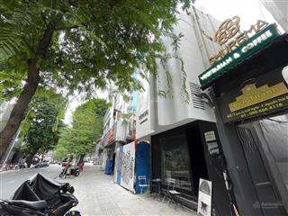 Cho thuê nhà trung tâm quận 1 đường nam kỳ khởi nghĩa, p. nguyễn thái bình, q.1