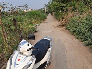 Chính chủ bán vườn cây ăn quả gần sân bóng đại thành (hưng đạo)quốc oai. vị trí vô cùng đẹp. 485m2