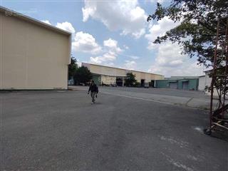 Cho thuê kho xưởng  dt kho 12.000m2 + dt sân 8.000m2  pccc tự động theo tiêu chuẩn