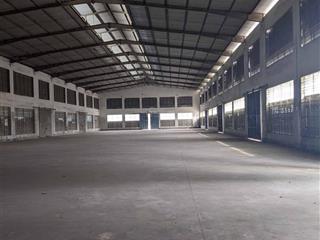 Tổng dt 4500m2, kho 3400m2  250 triệu/th đường dẫn cao tốc  cont 40f24h vào, có pccc