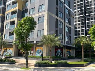 Bán căn shophouse vinhomes căn góc 100m2 giá bán chỉ 17 tỉ