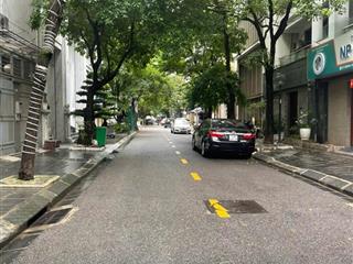 Bán nhà phân lô liền kề phố dương đình nghệ, trung kính, phạm văn bạch nhà mới dt 96m2, xây 4 tầng