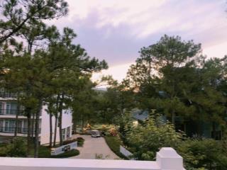 Biệt thự trong đồi thông  hồ tuyền lâm 1500m2 đà lạt