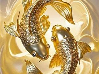 Cần bán đất nền dự án khu vực hoà long bà rịa