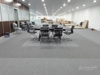 Mặt tiền âu cơ giá chỉ 100 triệu/m2 nhà cấp 4 dt 5.8 x 50m  gpxd hầm + 7 tầng giá chỉ 28 tỷ chốt