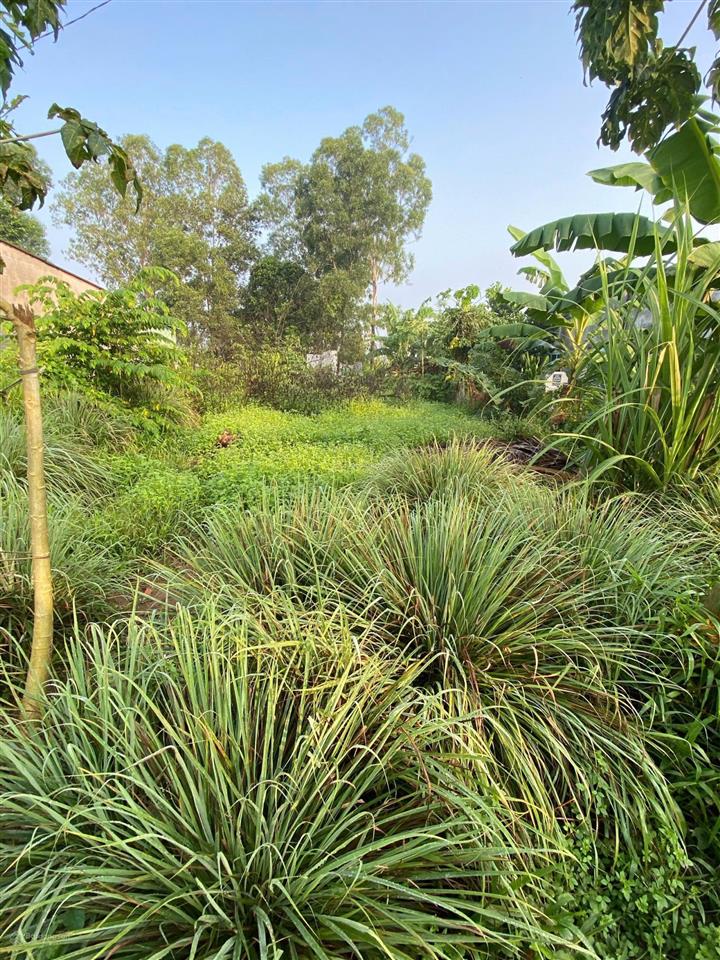 Cần bán 2 nền đôi xã mỹ long  8.5 x 30m, thổ cư 100% có 2 sổ hồng riêng giá 600 triệu/thương lượng