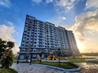 Chính chủ cho thuê chung cư ecohome nhơn bình gia lai