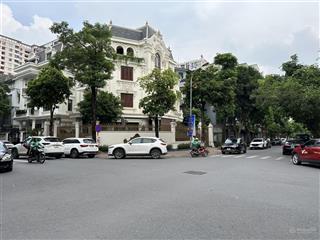 Bán biệt kđt mới dịch vọng,310m4 nổi 1 hầm, thang máy, mt15mview chung cư,công viêngiá 89.9 tỷ