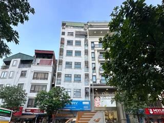 Bán nhà 9 tầng phố thái hà ,118m2 mt6m thiết kế hiện đại,cho thuê 140 triệu/th,gara để 10 ô tô