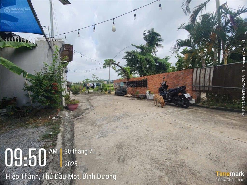 Dt 300m2 thổ cư 100% nở hậu 22m mà giá 4,5tỷ. p phú lợi hcm, trung tâm tdm cũ ngay kdc đường 5mét