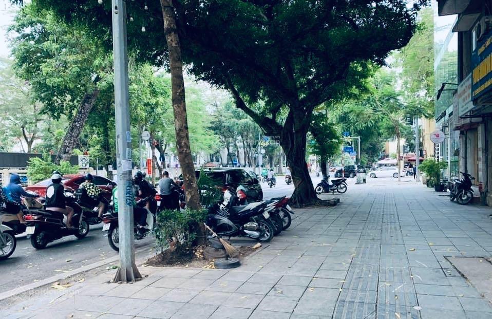 Hot  bán nhà mặt phố phan chu trinh, hoàn kiếm  115m2 x 9 tầng thông sàn thang máy  0974 660 ***