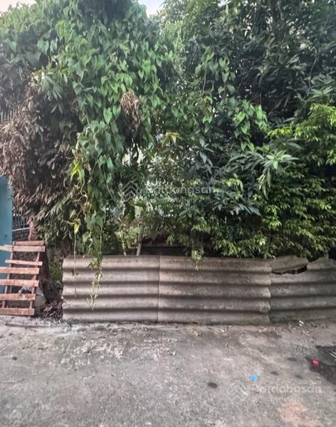 Bán đất cực đẹp ngõ kẻ tạnh phường việt hưng cam kết giá tốt nhất thị trường.