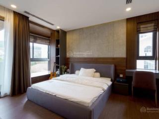 Sang trọng  bề thế! biệt thự vườn, dt 10x10m hẻm ô tô trần quang diệu q3, 4 tầng chỉ 17.99 tỷ