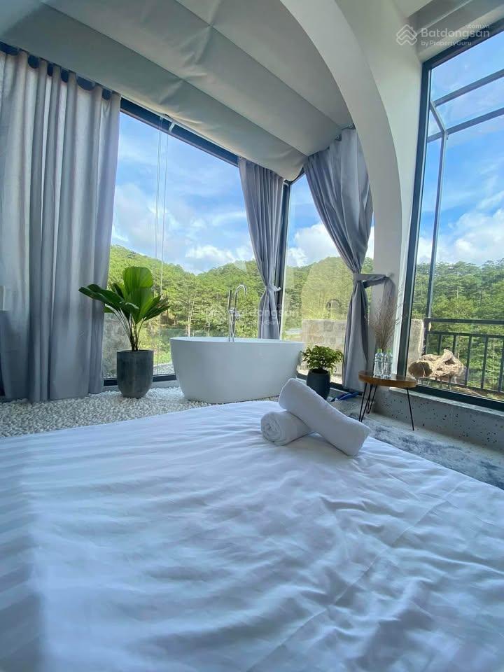 Homestay view thung lũng rừng thông hoàng hoa thám 250m2 ngang 12,7m 11 phòng có nguồn thu cao