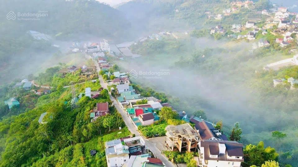 Đất view thung lũng rừng thông vĩnh viễn hoàng hoa thám, 300.4m2, ngang 16.8m