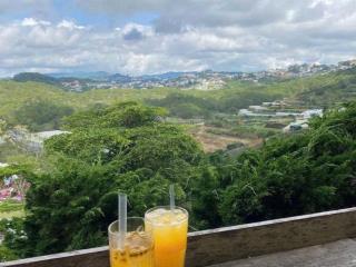 Đất view thông vĩnh viển 552m2 có nhà trên đất