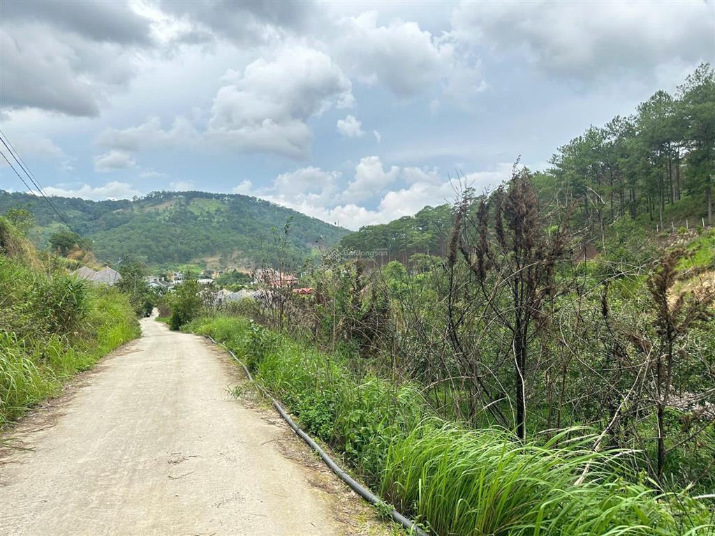 Giá đầu tư đất hiệp an, ngay chân đèo prenn 1258m2, view rừng thông vĩnh viển