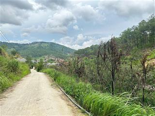 Giá đầu tư đất hiệp an ngay chân đèo prenn 1258m2 view rừng thông vĩnh viển