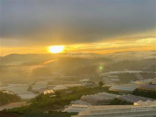 Đất giá đầu tư đường cao thắng view thung lũng rừng thông săn mây 1104m2 nở hậu