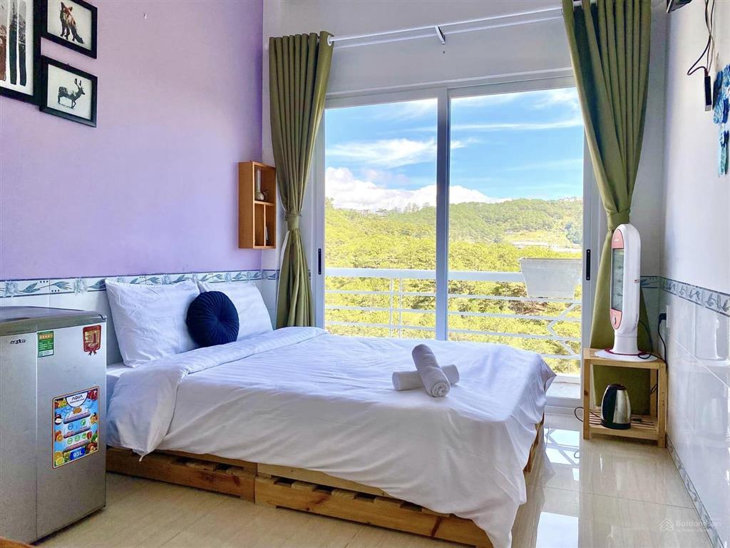 Hạ giá bán homestay view thung lũng rừng thông vĩnh viễn, 10 phòng kinh doanh nở hậu