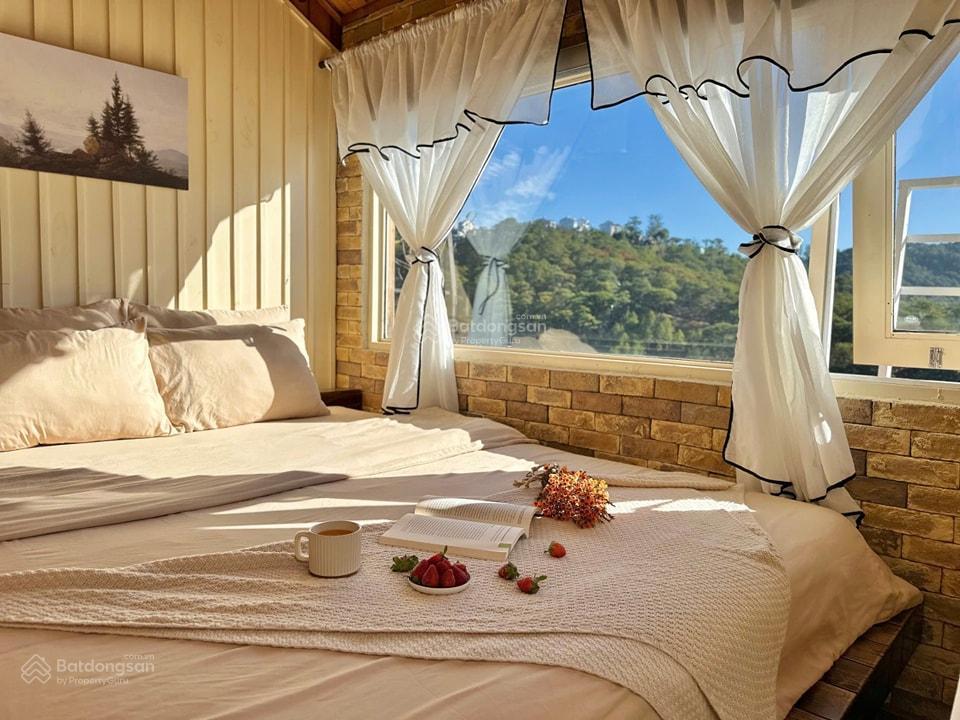 Thu nhập 100120tr/thg homestay hoàng hoa thám 800m2 view thung lũng rừng thông