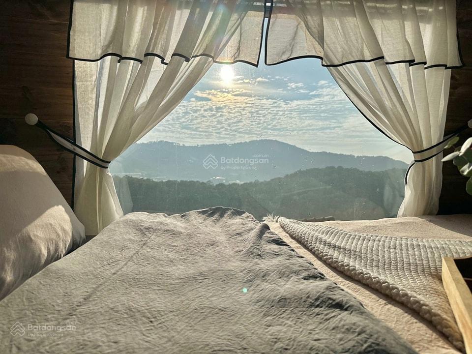 Thu nhập 100120tr/thg homestay hoàng hoa thám 800m2 view thung lũng rừng thông