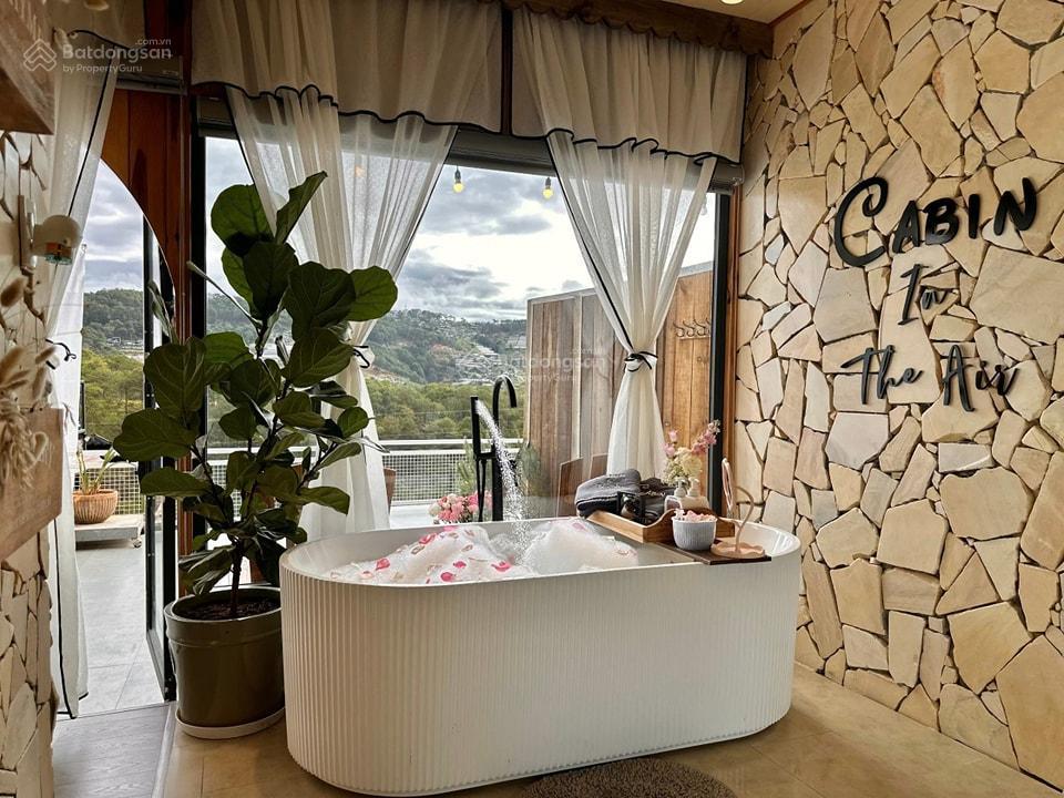 Thu nhập 100120tr/thg homestay hoàng hoa thám 800m2 view thung lũng rừng thông