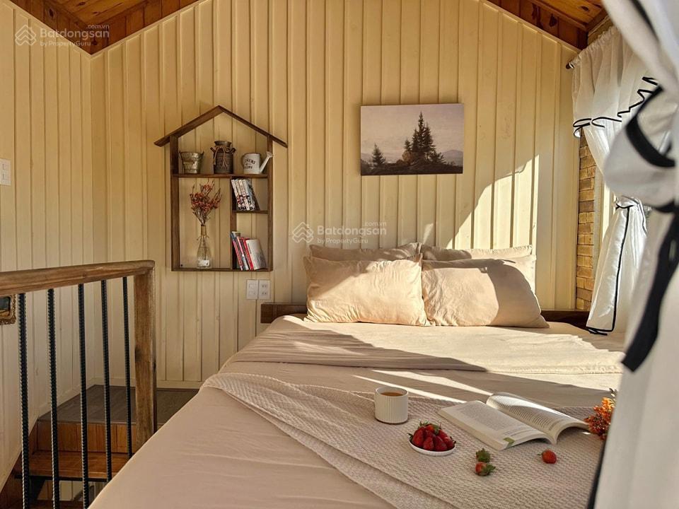 Thu nhập 100120tr/thg homestay hoàng hoa thám 800m2 view thung lũng rừng thông