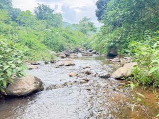 Cần chuyển nhượng lô đất 25000m siêu víp tại cư yên lương sơn hòa bình .nay là phú thọ