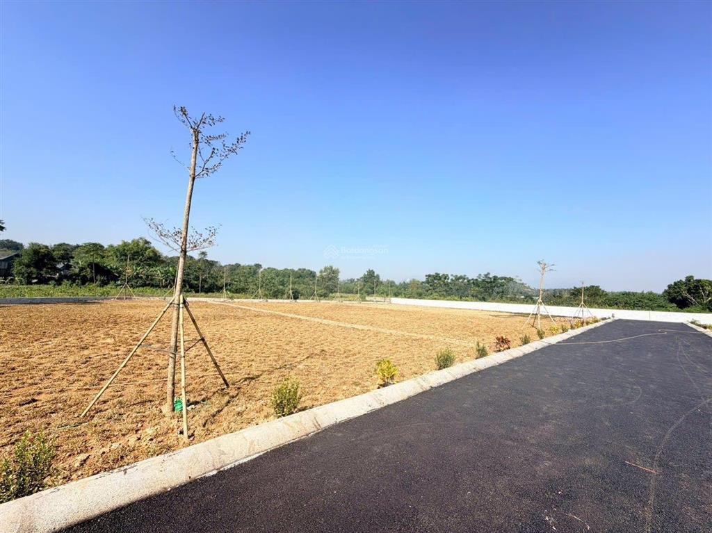 Bán 7 lô đất diện tích 420m2/1 lô