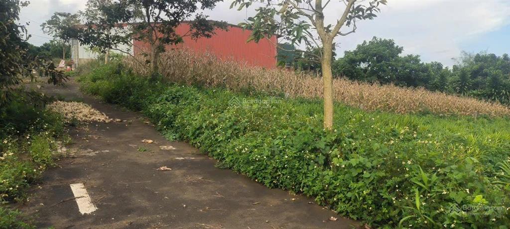 Lô đất 178.4m2 thổ cư 100% trung tâm lộc an