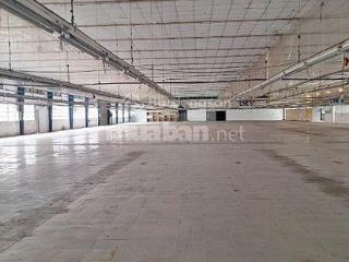 Cho thuê kho xưởng sản xuất 3.000m2 đường phạm văn chiêu, p. 15, quận gò vấp