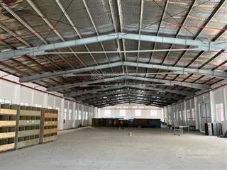 Kho xưởng siêu hot 1000m2 cần cho thuê ngay mặt tiền bùi tư toàn, p. an lạc, q. bình tân