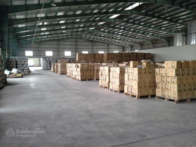 Cho thuê kho xưởng siêu vip 800m2, 2.000m2 & 3.000m2 đường kinh dương vương