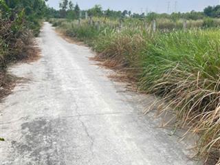Nền đất siêu dài 5x45 ngay sát bên thị trấn ngay chợ hòa khánh, 100% thổ