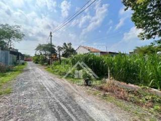 Nền đất đẹp thổ cư, 5x55 (275m2), shr, full thổ cư, ngay đường số 2 xã hòa khánh đông, 1ty090