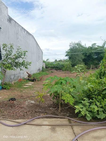 Chính chủ gửi nền đất nằm ngay đường bê tông thuộc ấp 2 hựu thạnh, 5x29m giá 1tỷ1, shr, 0704 794 ***