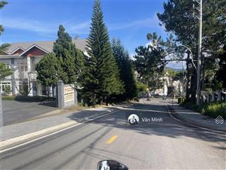 2484m2 sổ riêng đất ở, ngang 31m kqh vip đồi huy hoàng, p8 đà lạt giá đầu tư độc quyền 20tr/m2