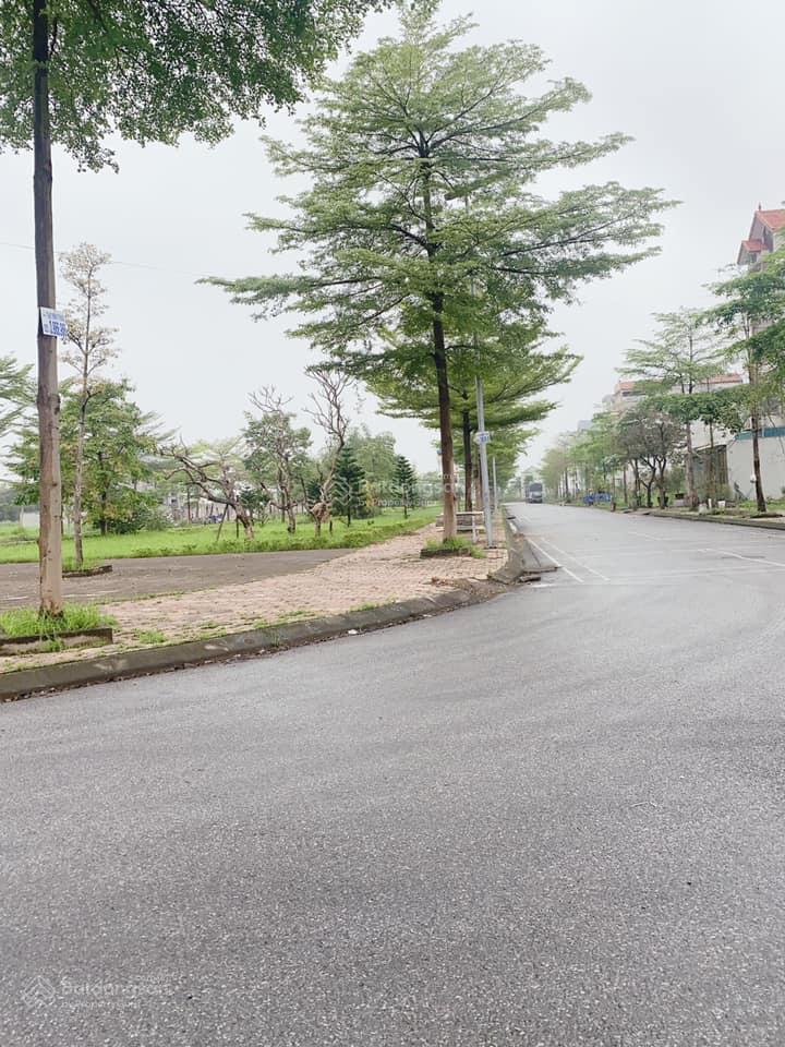 Mười trần cập nhật thông tin 24/7 dự án new city phố nối, (đầu nguồn toàn dự án) 0973 299 ***