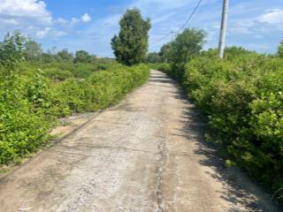 Bán gấp lô đất thổ cư 40m x 30m xã long hoà huyện cần giờ tphcm