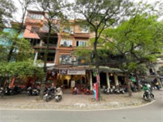 Bán nhà mặt linh lang phan kế bính lô góc 6 tầng thang máy lô góc kinh doanh đa dạng giá 53.6 tỷ