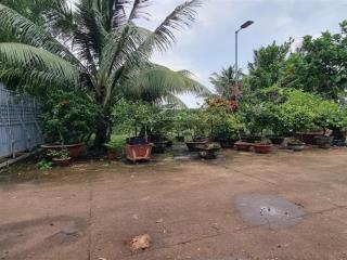 Cần bán nhà xưởng  xã phú hòa đông (trước đây là xã tân thông đông), tp.hc