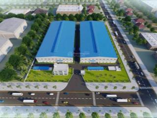 Cho thuê nhà xưởng mới 100% cao 15m tại hải phòng, có thể lắp cẩu trục 5 tấn