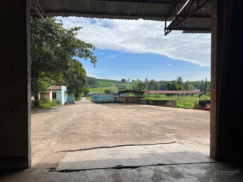 Cần cho thuê kho xưởng, ngay nút giao cao tốc xuân tâm xuân lộc, diện tích 6400m2