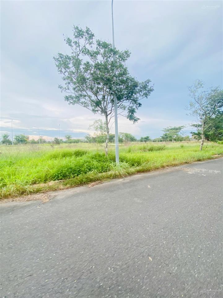 Dự án daresco long an lô biệt thự 250m2 quanh hồ trung tâm