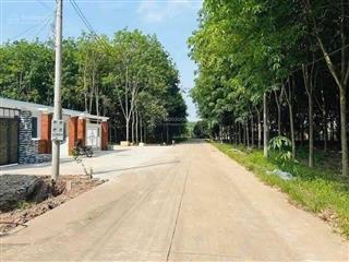 Bán đất 250m2 tại xã tam lập, bình dương, giá rẻ nhất khu vực