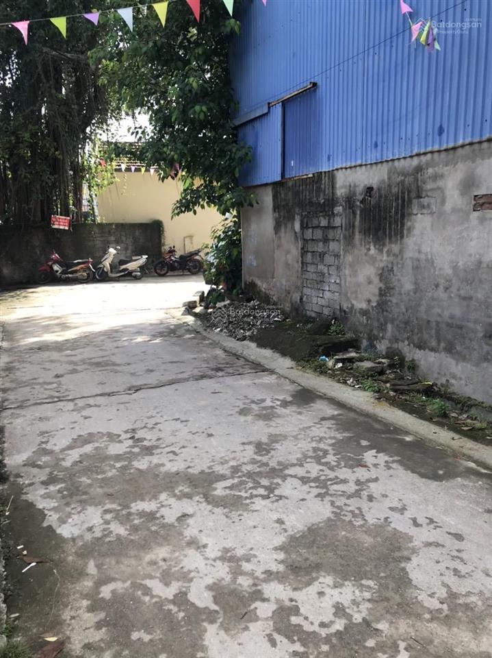 Bán mảnh đất 245m2 lô góc 3 mặt thoáng thôn nội, xã tam thuấn, phúc thọ. mặt tiền 23m, 60 triệu/m2