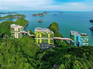 Cc cắt lỗ view núi 1.85 tỉ, 41m2, full nội thất flamingo cát bà, sẵn sổ, lợi nhuận luôn 9triệu/th