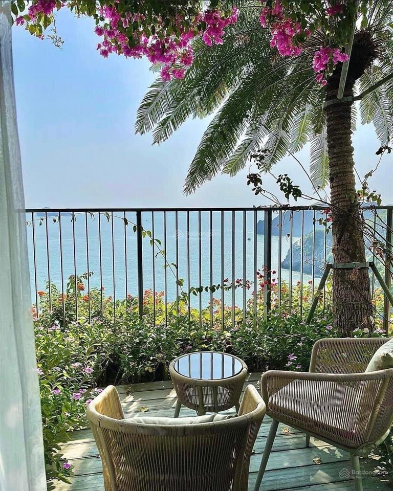Cc cắt lỗ sâu căn view trực diện biển flamingo cat ba beach resort, 2.25 tỷ, 38m2, sẵn sổ đỏ