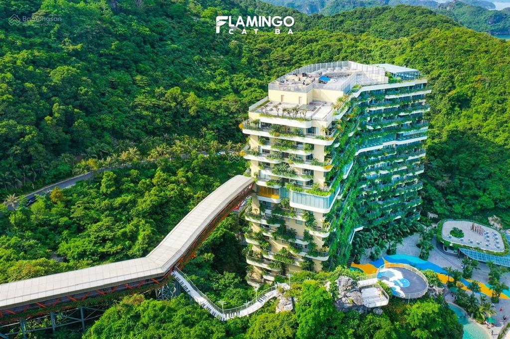 Căn tiền bán nhanh 1.35 tỷ, căn view núi flamingo cat ba wynham vận hành, 33,2m2, sổ đỏ sẵn